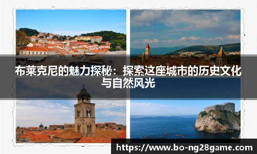 布莱克尼的魅力探秘:探索这座城市的历史文化与自然风光